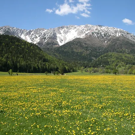 Lejlighed Gschaiderhof *