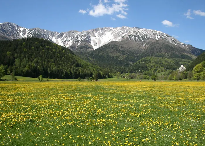 Apartman Gschaiderhof *