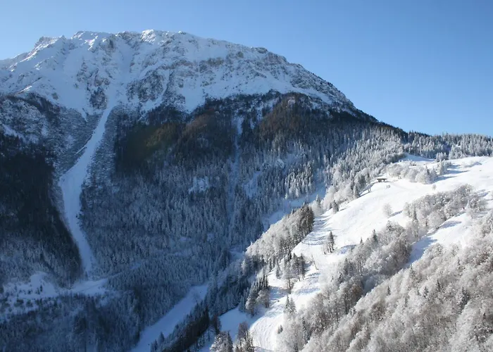 Gschaiderhof Apartman Puchberg am Schneeberg