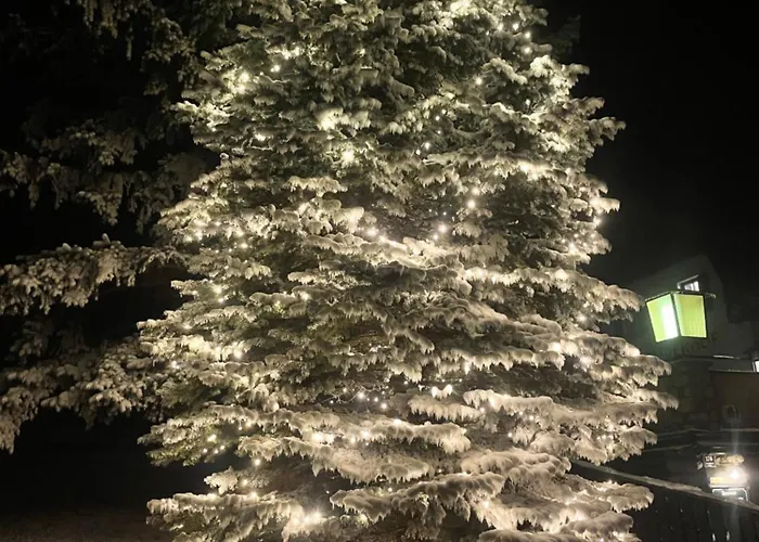 Gschaiderhof Apartman Puchberg am Schneeberg